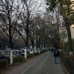 IMG_4999 IMG_4999
