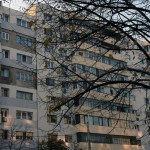 IMG_5000 IMG_5000