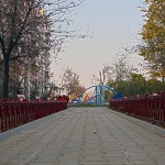 IMG_5001 IMG_5001