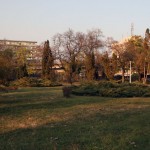 IMG_5009 IMG_5009