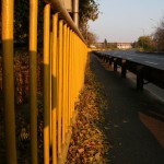 IMG_5015 IMG_5015