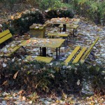IMG_5016 IMG_5016