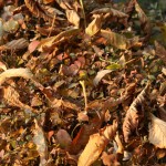 IMG_5024 IMG_5024