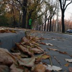 IMG_5030 IMG_5030