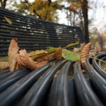 IMG_5032 IMG_5032
