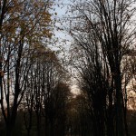 IMG_5037 IMG_5037