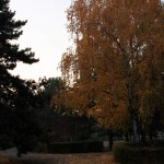 IMG_5046 IMG_5046