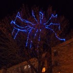 IMG_5284 IMG_5284