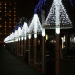 IMG_5286 IMG_5286