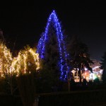 IMG_5288 IMG_5288