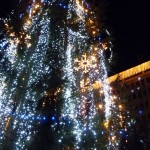 IMG_5290 IMG_5290