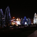 IMG_5292 IMG_5292