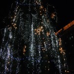 IMG_5303 IMG_5303