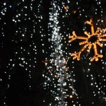 IMG_5305 IMG_5305