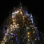 IMG_5308 IMG_5308