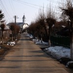 Baicoi_10 Baicoi_10